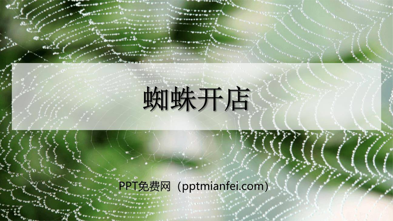蜘蛛开店PPT课件10