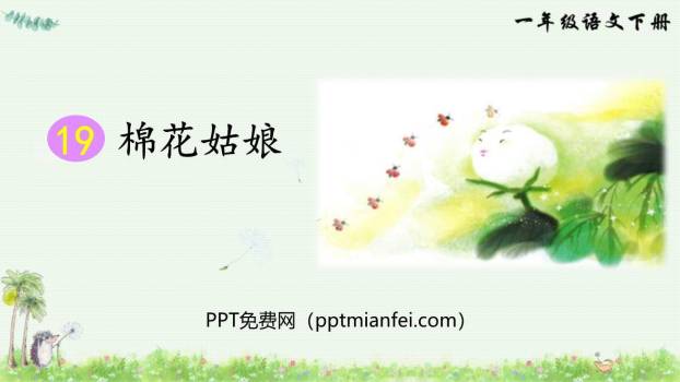 棉花姑娘PPT课件80