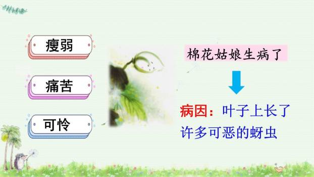 棉花姑娘PPT课件85