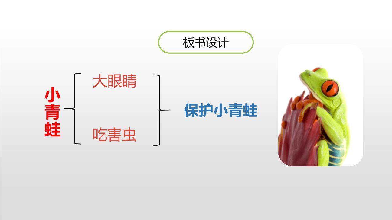小青蛙PPT课件64