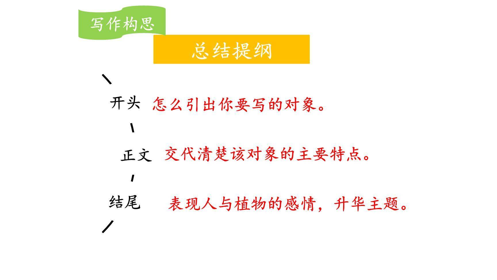 我的植物朋友PPT课件65