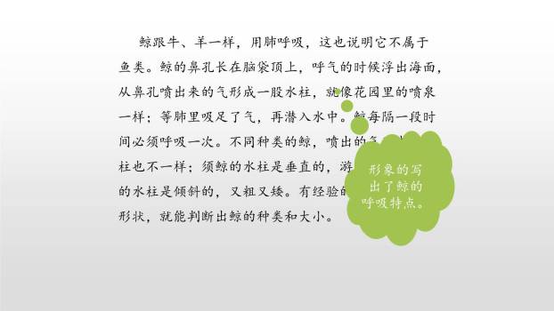 介绍一种事物PPT课件38