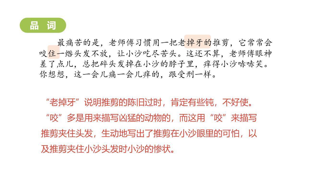 剃头大师PPT课件51