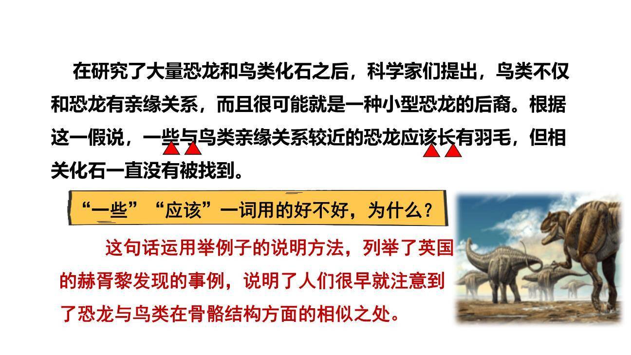 飞向蓝天的恐龙PPT课件83