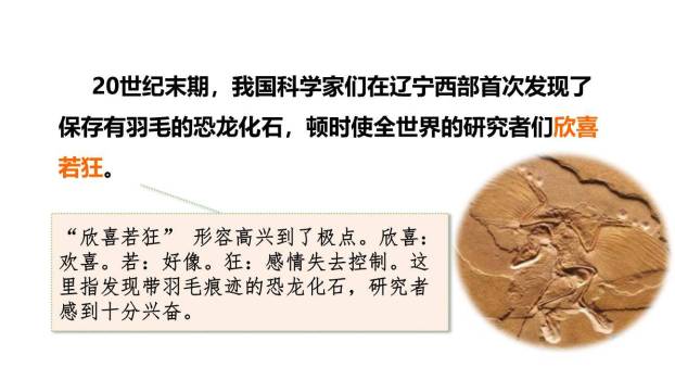 飞向蓝天的恐龙PPT课件84
