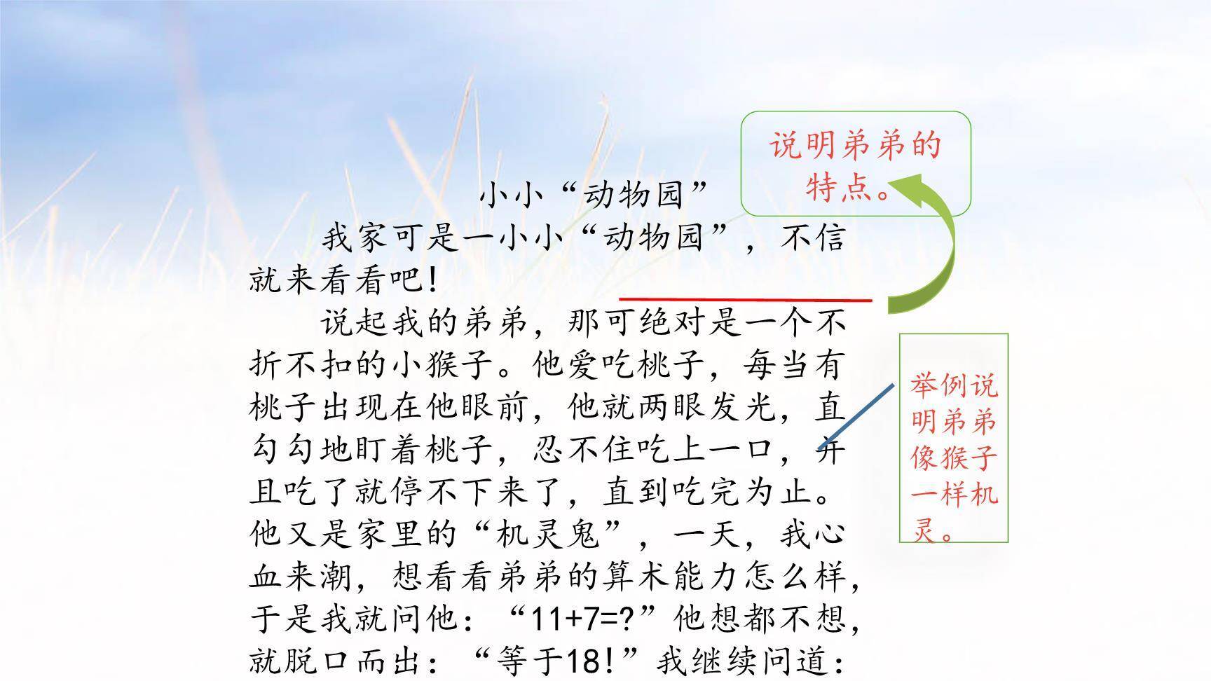 小小动物园PPT课件11