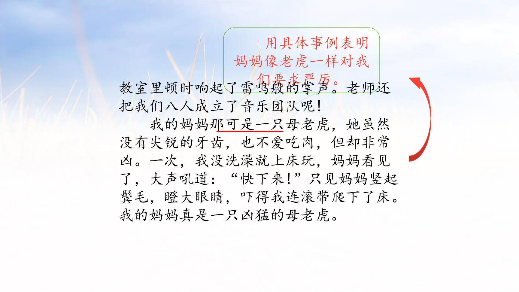 小小动物园PPT课件13