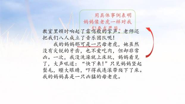 小小动物园PPT课件13