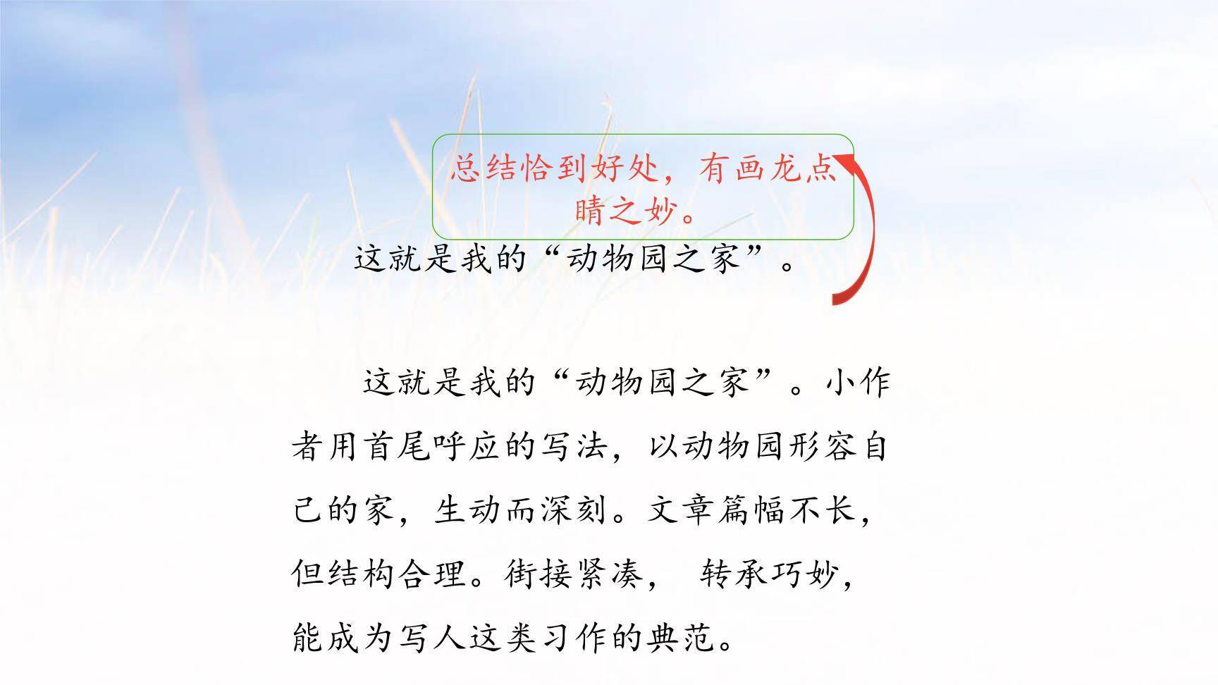 小小动物园PPT课件14