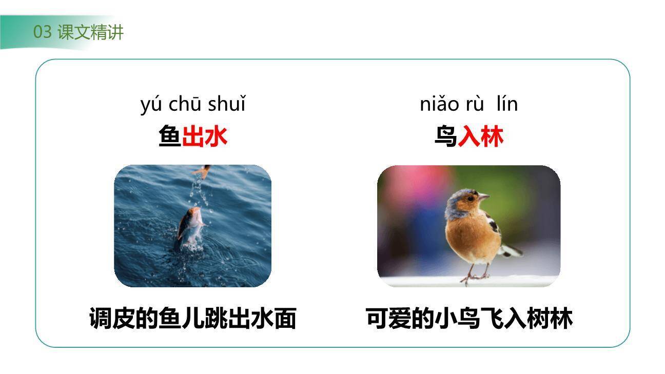 春夏秋冬PPT课件64