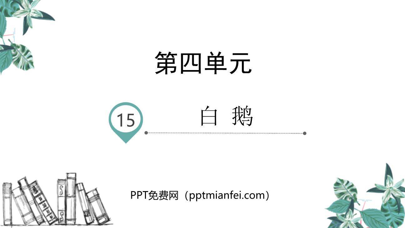 白鹅PPT课件20