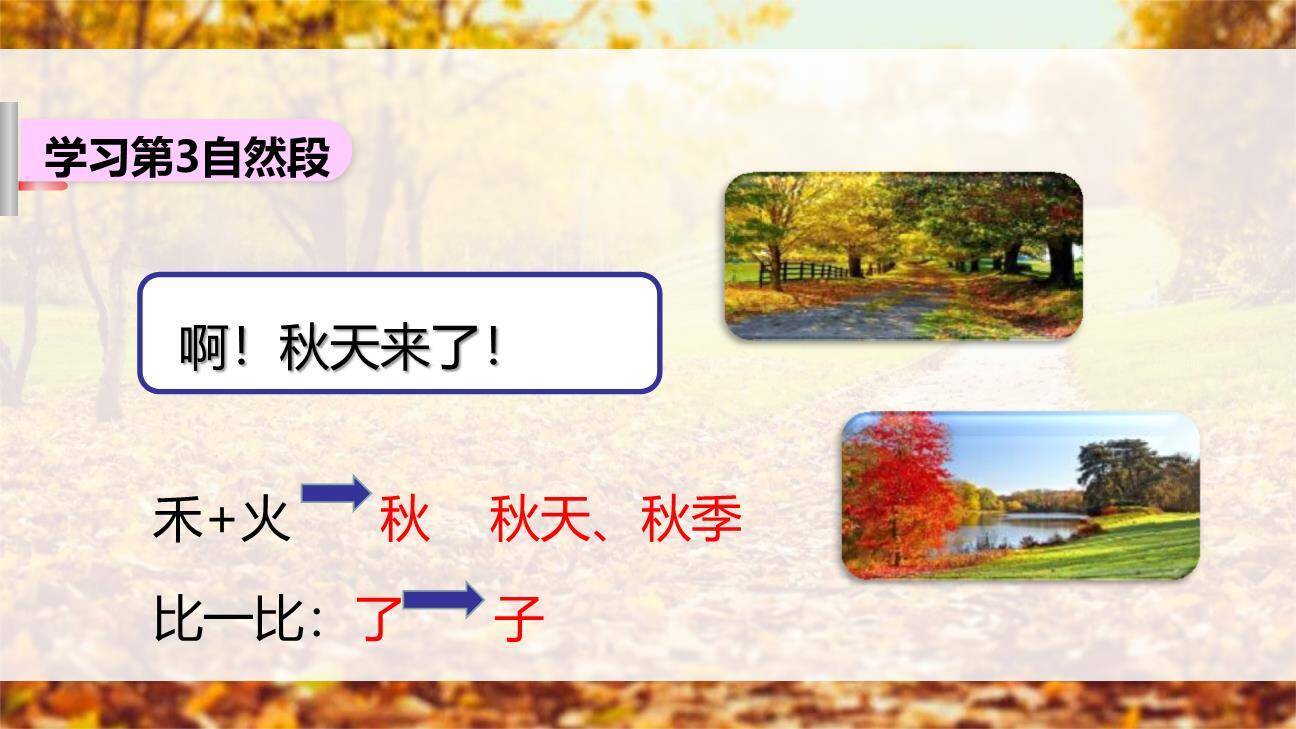 秋天PPT课件36