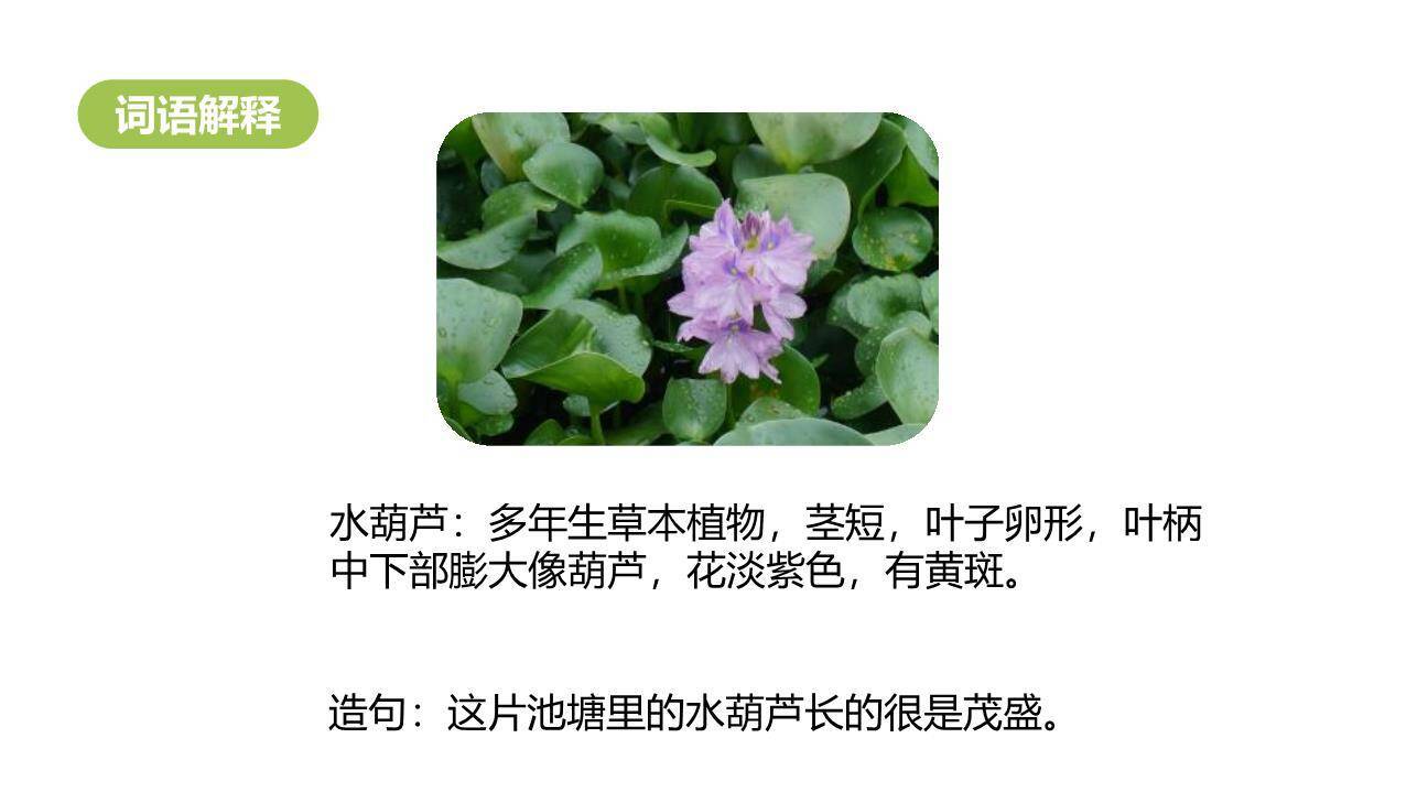 童年的水墨画PPT课件62