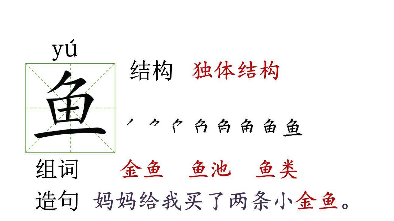 荷叶圆圆PPT课件21