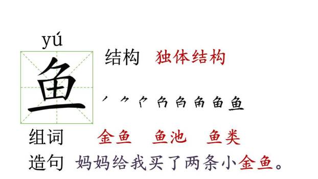 荷叶圆圆PPT课件21