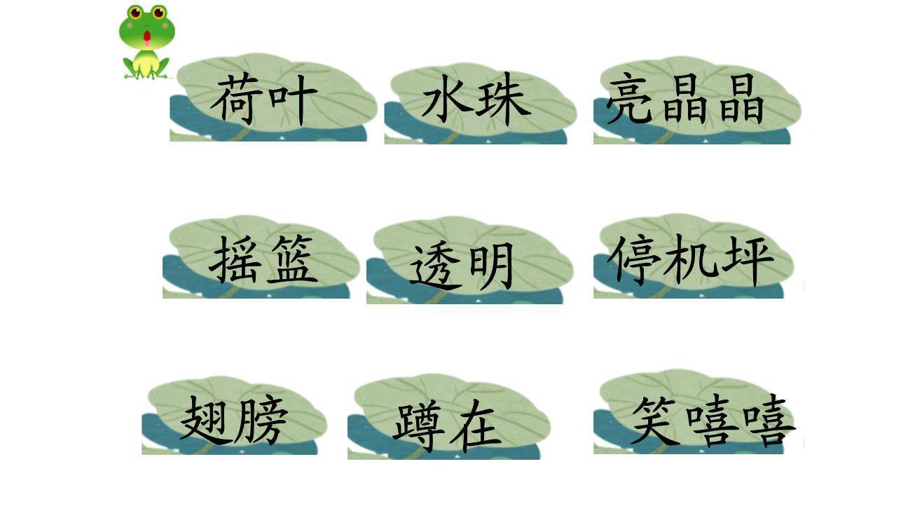 荷叶圆圆PPT课件24