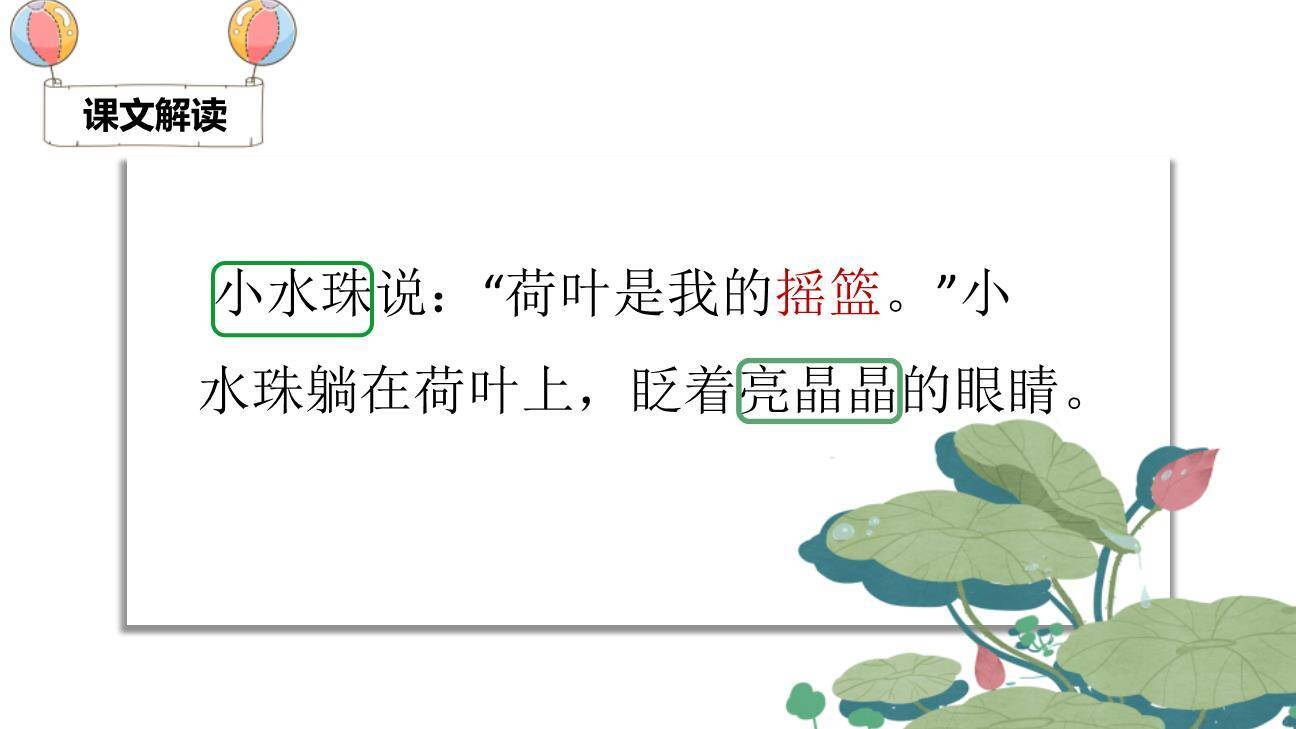 荷叶圆圆PPT课件27