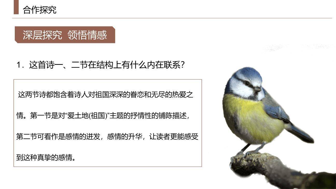 我爱这土地PPT课件33