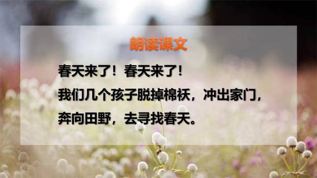 找春天PPT课件29