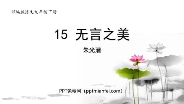 无言之美PPT课件30