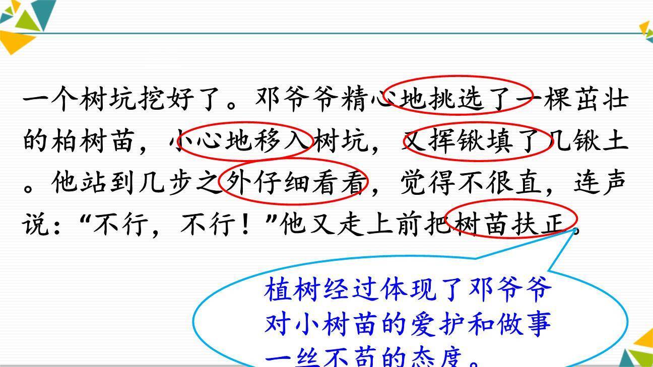 邓小平爷爷植树PPT课件12