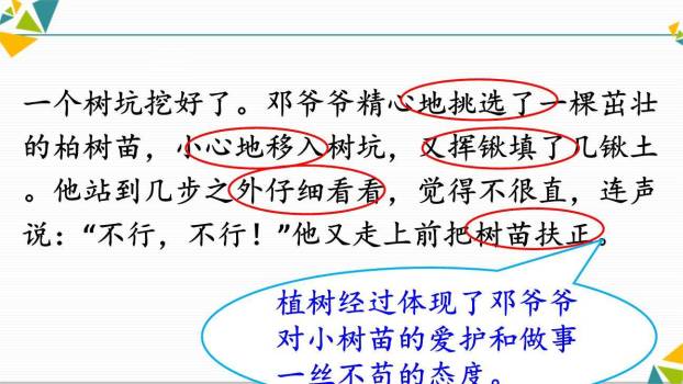 邓小平爷爷植树PPT课件12