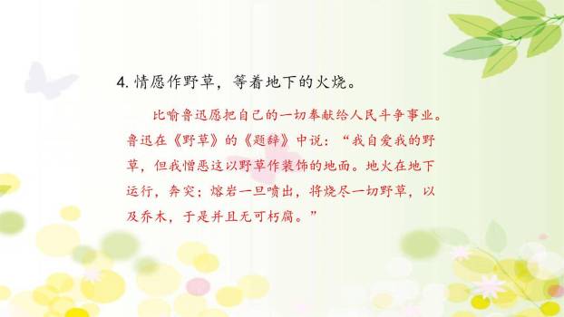 有的人—纪念鲁迅有感PPT课件14