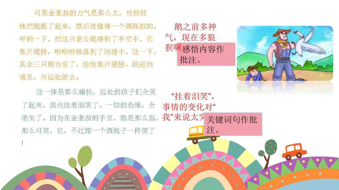 牛和鹅PPT课件61