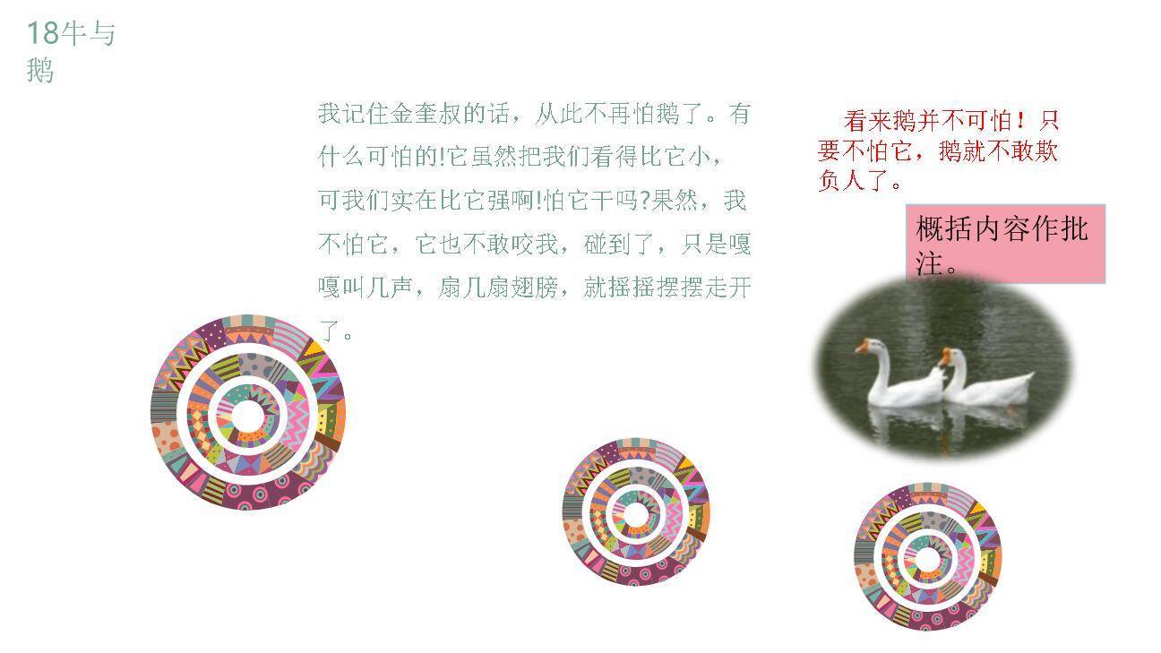 牛和鹅PPT课件62