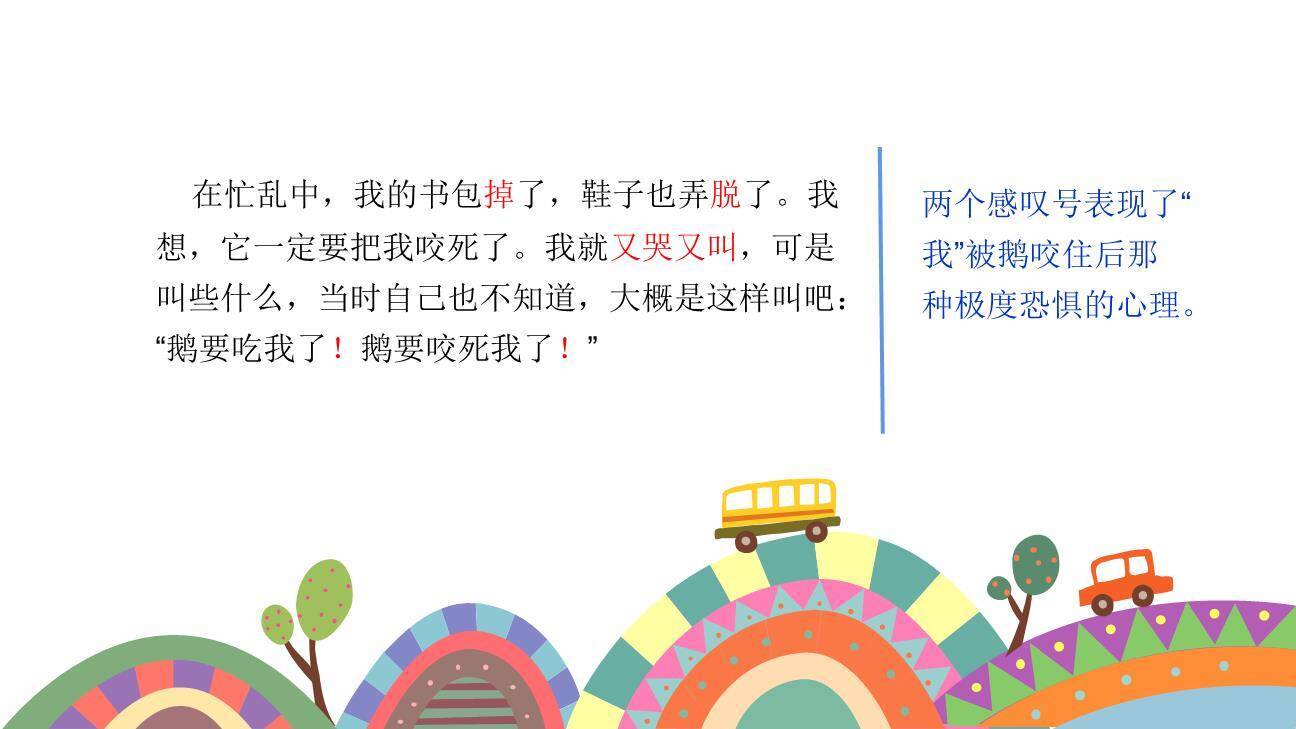 牛和鹅PPT课件67