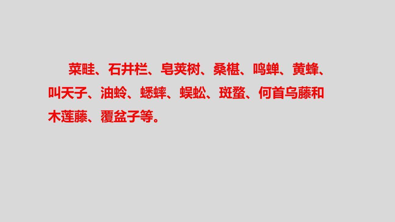 从百草园到三味书屋PPT课件59