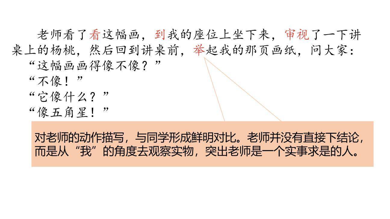 画杨桃PPT课件51