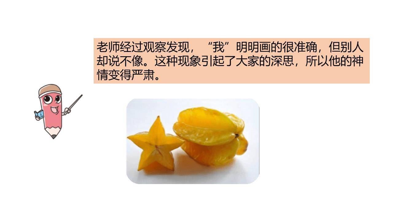 画杨桃PPT课件53