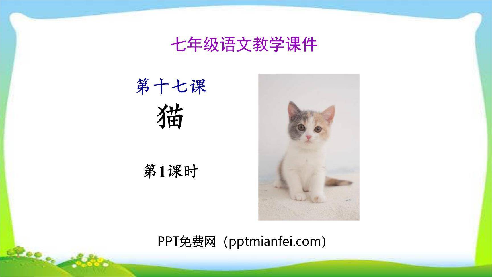 《猫》PPT课件10