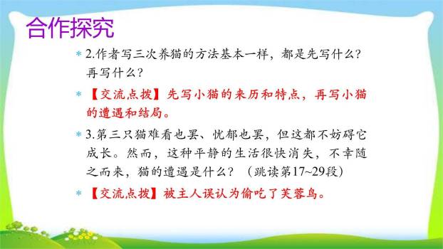 《猫》PPT课件16