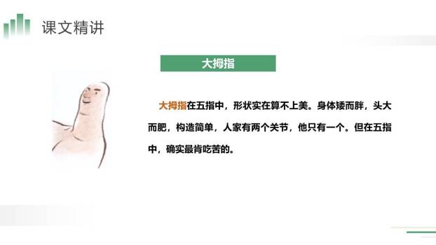 手指PPT课件46