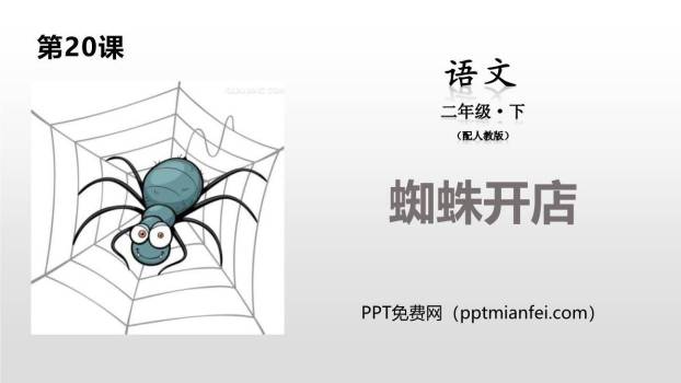 蜘蛛开店PPT课件30