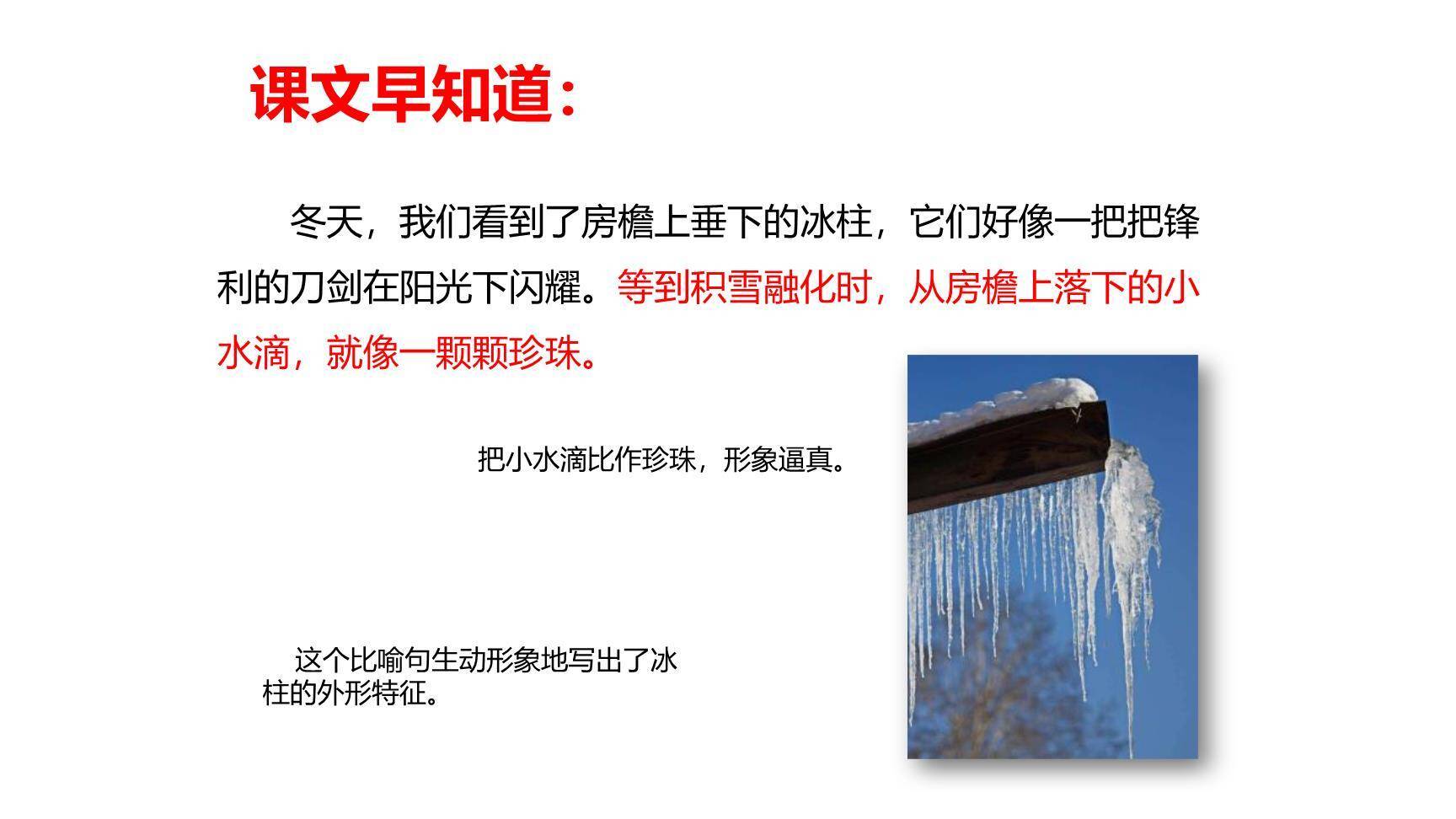 我们奇妙的世界PPT课件48