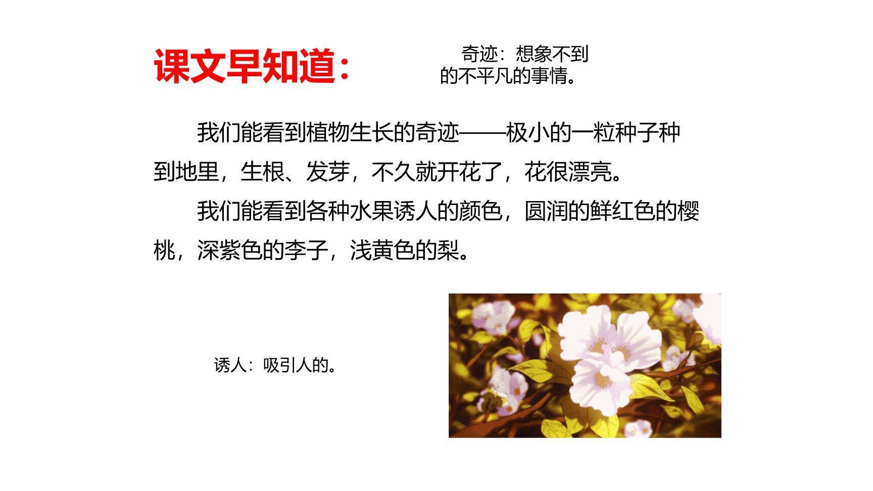 我们奇妙的世界PPT课件45