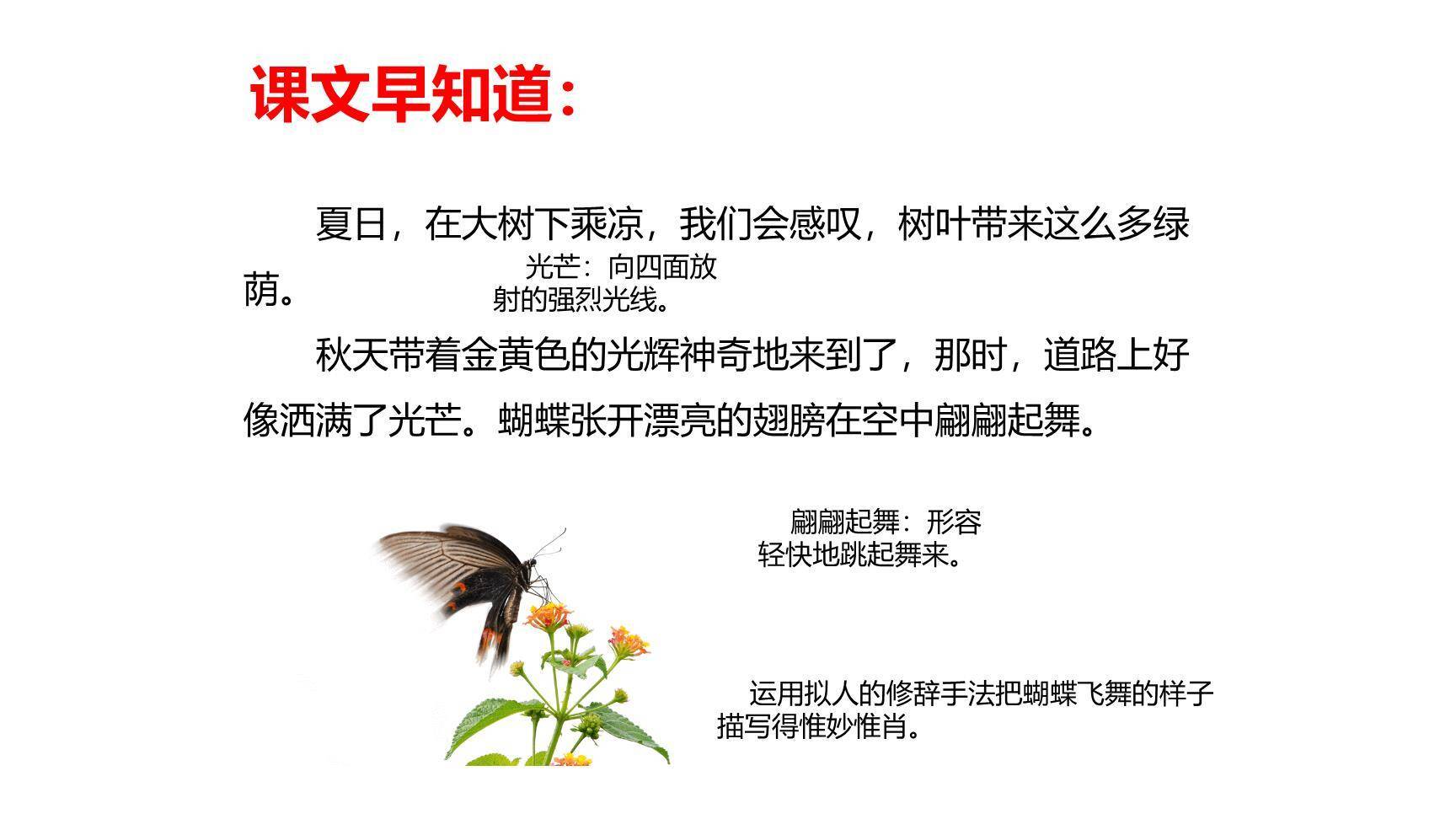 我们奇妙的世界PPT课件46