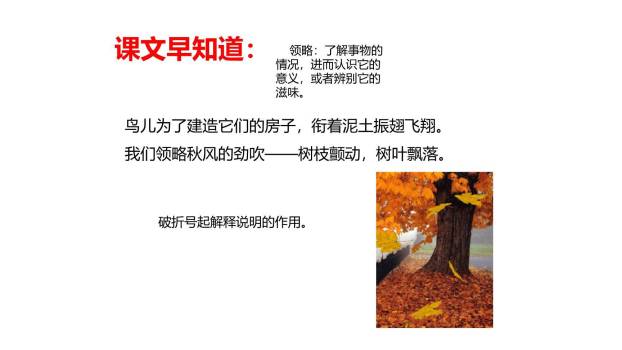 我们奇妙的世界PPT课件47