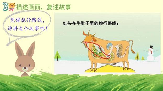 在牛肚子里旅行PPT课件44