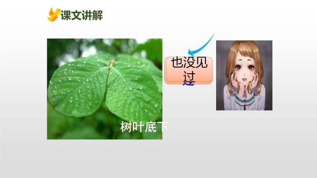 蝴蝶的家PPT课件59