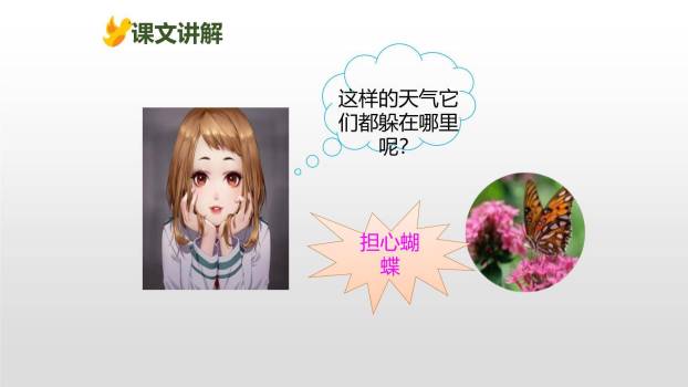 蝴蝶的家PPT课件52