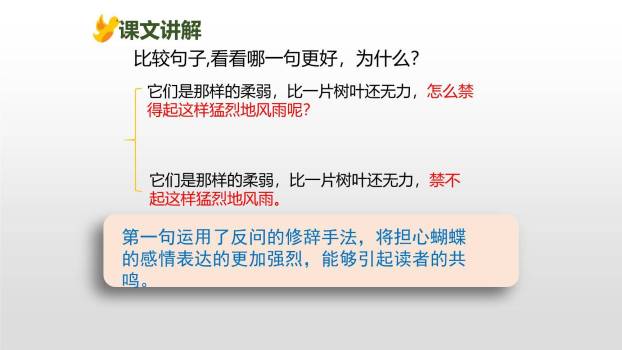 蝴蝶的家PPT课件54