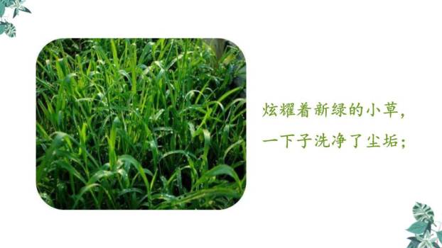 在天晴了的时候PPT课件42