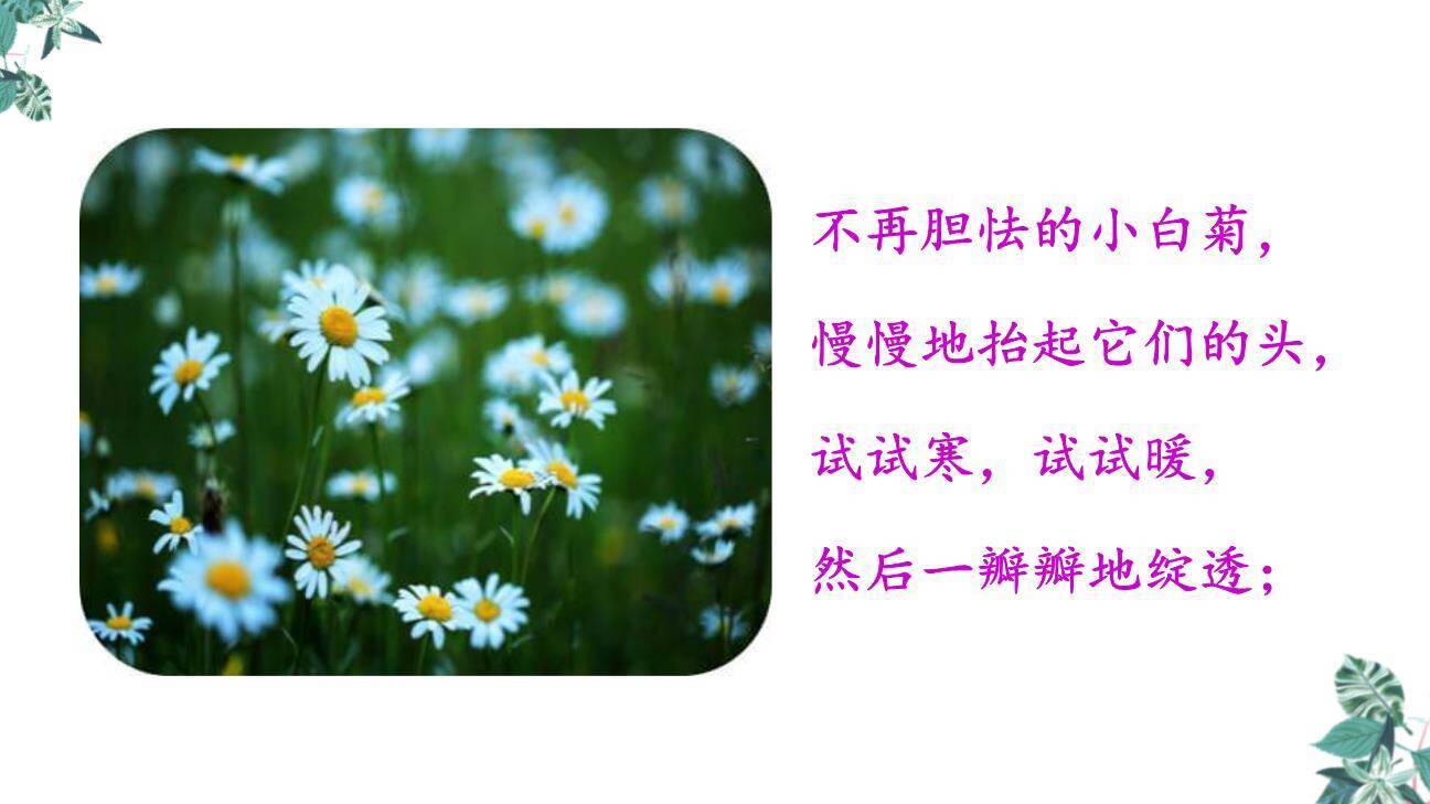 在天晴了的时候PPT课件44