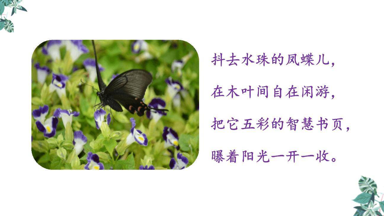 在天晴了的时候PPT课件45