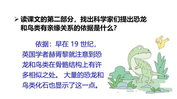 飞向蓝天的恐龙PPT课件39