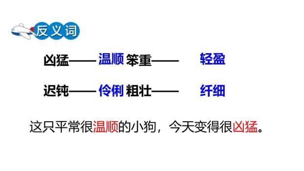 飞向蓝天的恐龙PPT课件35